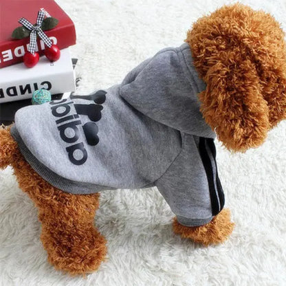 Pet Sweatshirt My Store