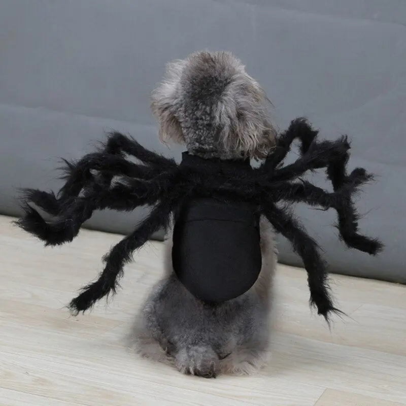 Spider Costume for Pets My Store