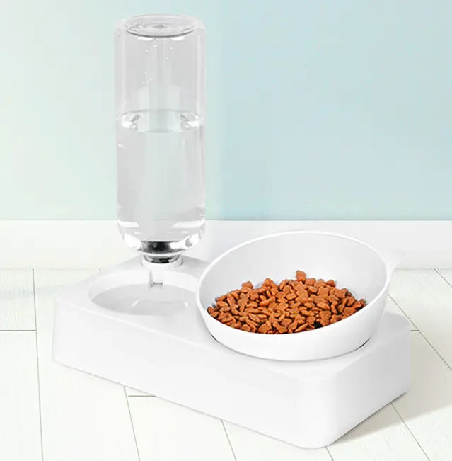 Pet Feeder and Water 