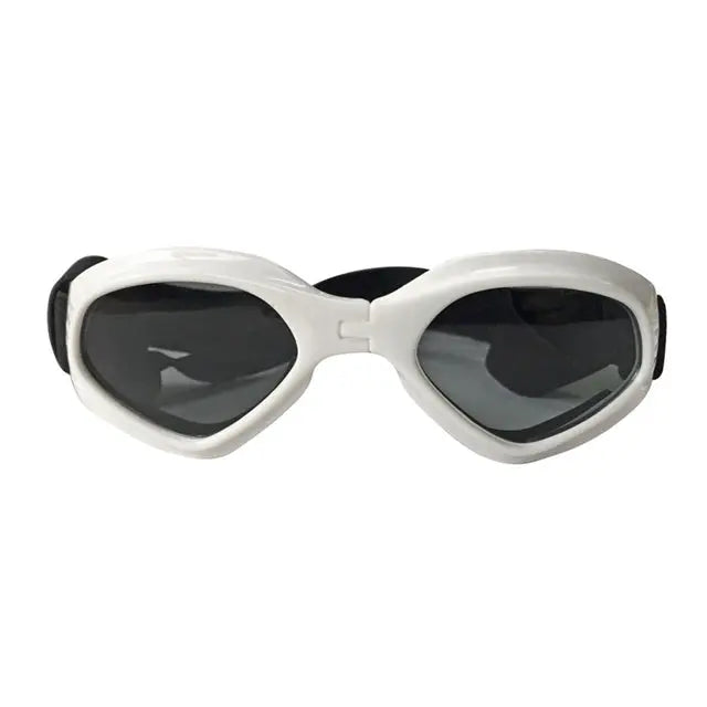 Dog Sunglasses My Store