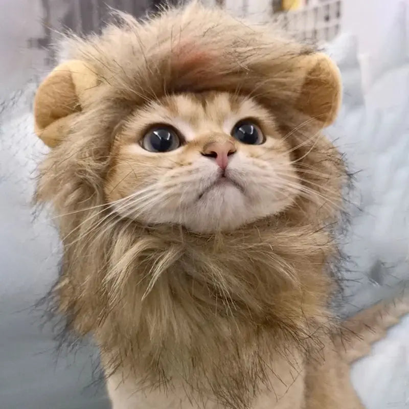 Lion Mane Cat Costume My Store