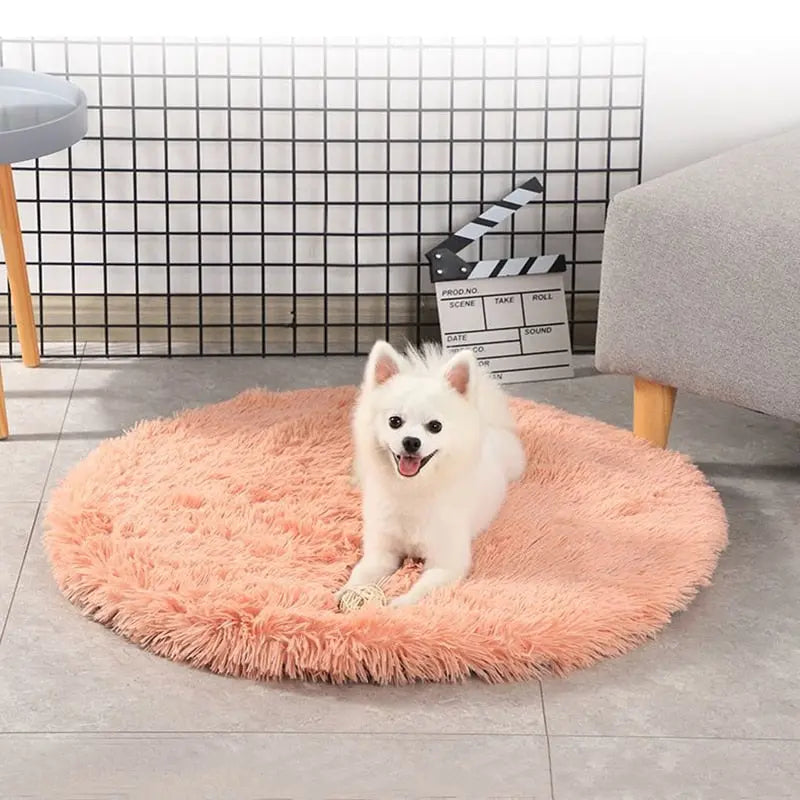 Round Dog Bed My Store