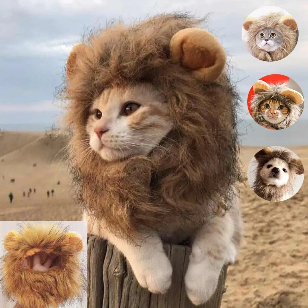 Lion Mane Cat Costume My Store