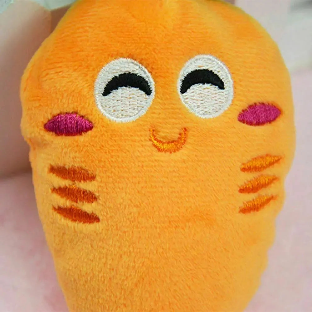 Carrot Pet Toy My Store