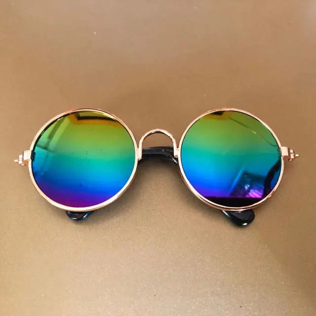 Pet Sunglasses My Store