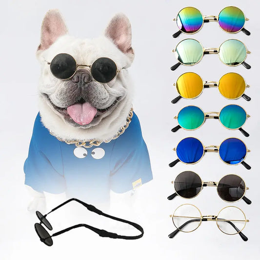 Pet Sunglasses My Store