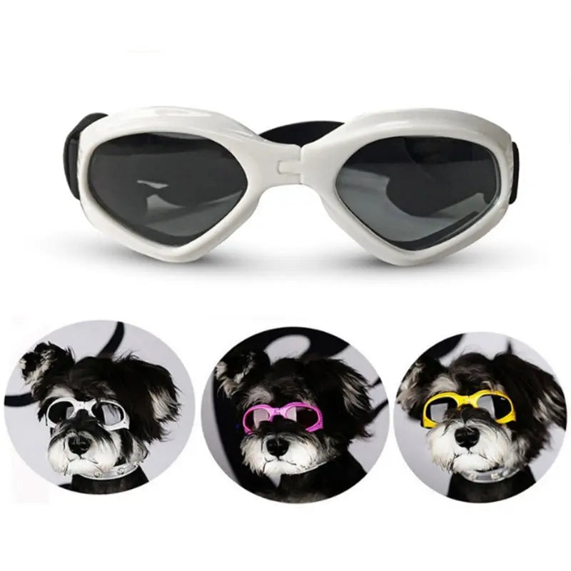 Dog Sunglasses My Store