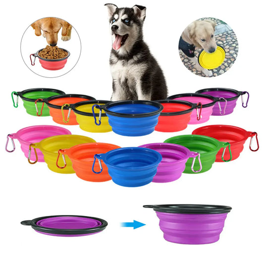 Colorful Pet Bowl 