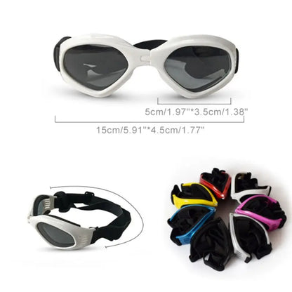 Dog Sunglasses My Store