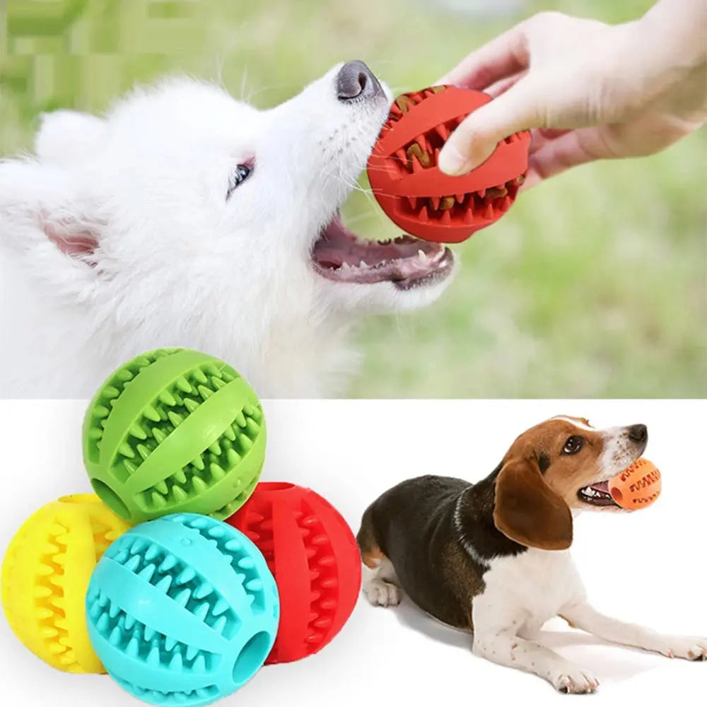 Dog Chew Toy My Store