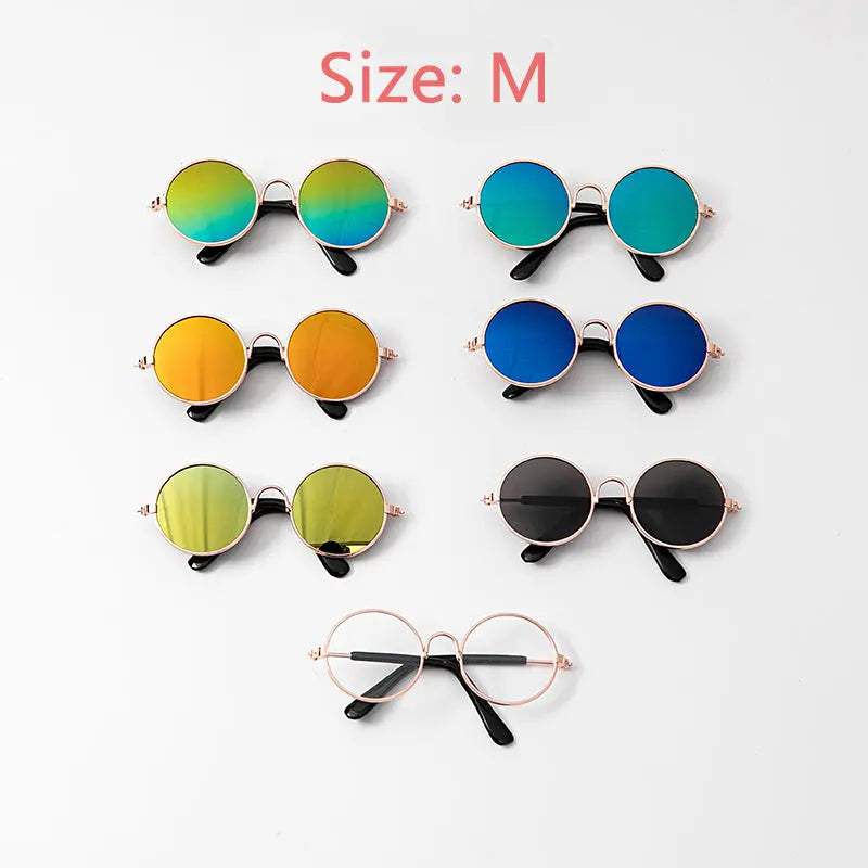 Pet Sunglasses My Store