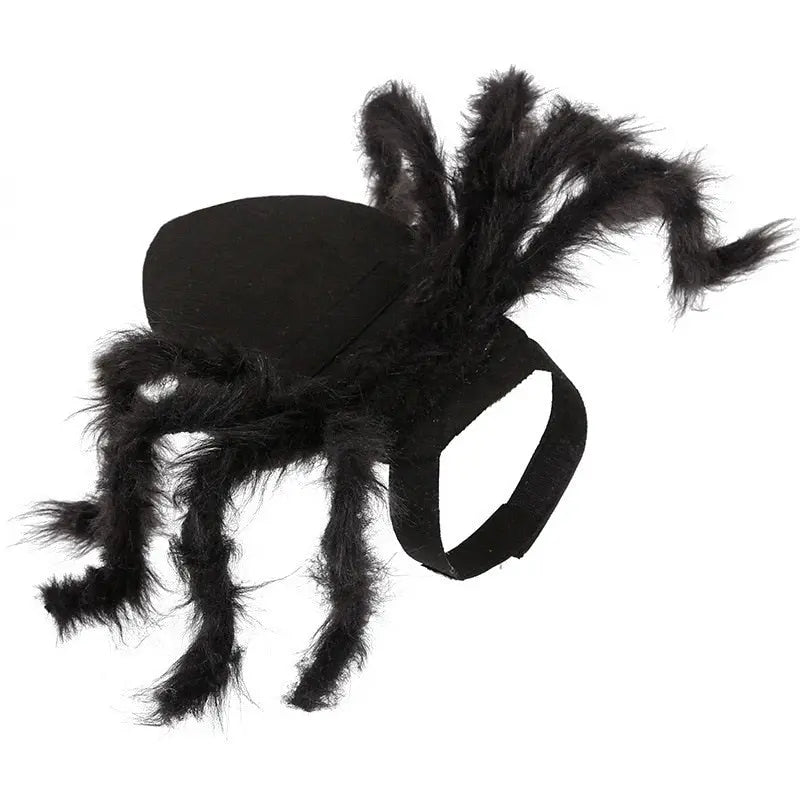 Spider Costume for Pets My Store