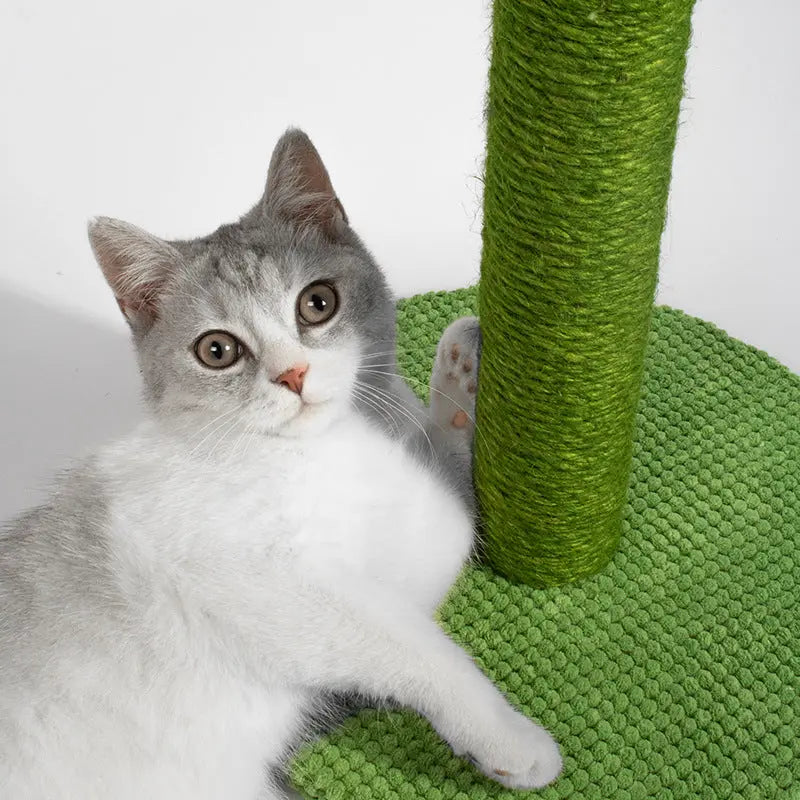 Cat Scratching Post 