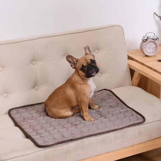 Pet Breathable Sofa Blanket My Store