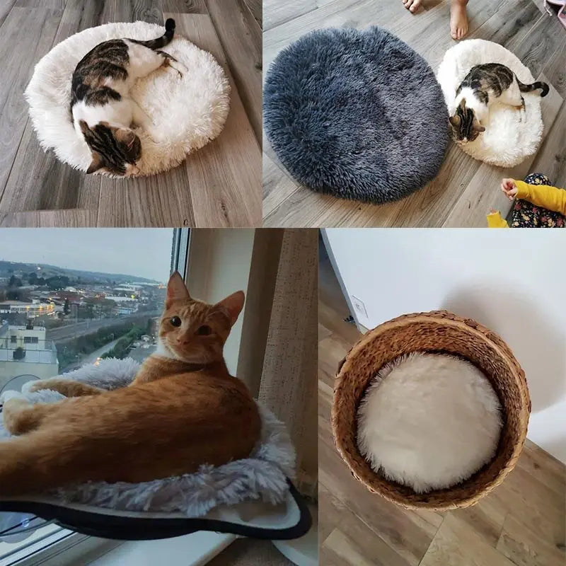 Round Dog Bed My Store