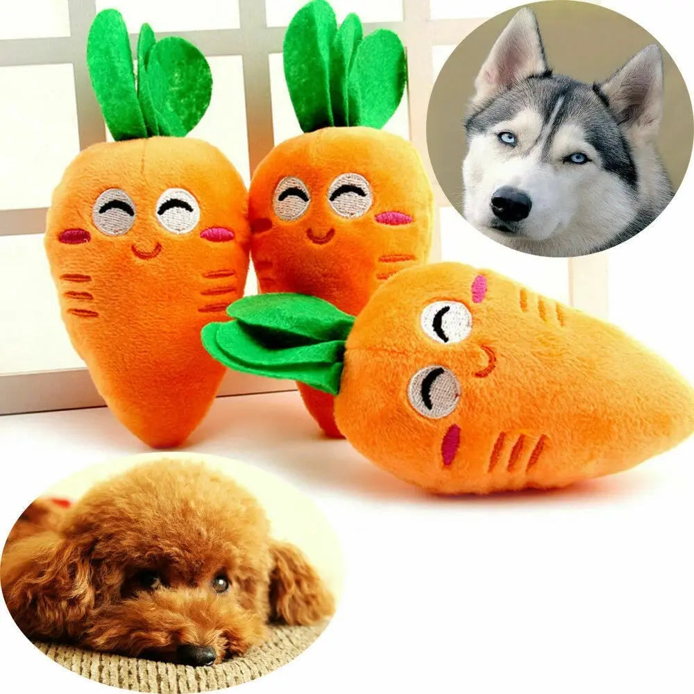 Carrot Pet Toy My Store