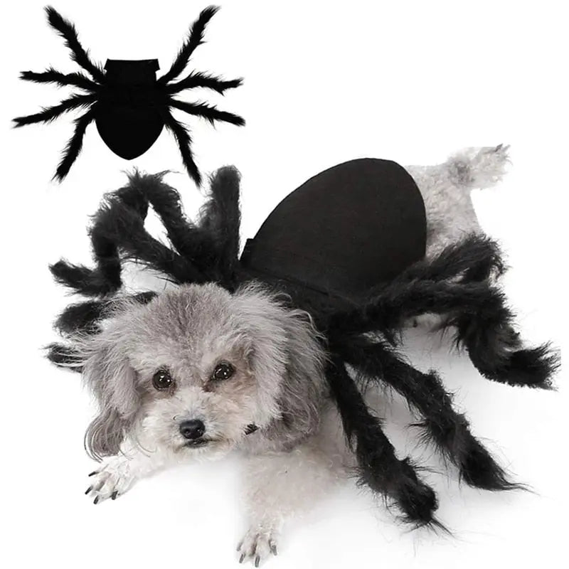 Spider Costume for Pets My Store