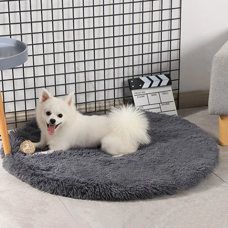 Round Dog Bed My Store