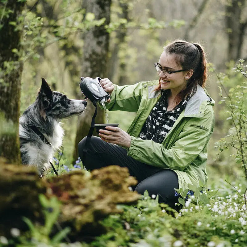 Multifunctional Pet Leash 