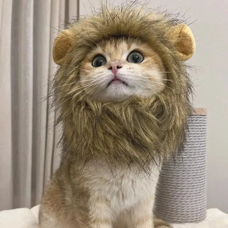 Lion Mane Cat Costume My Store