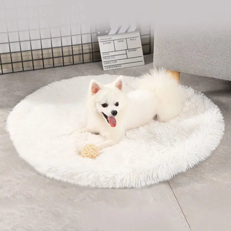 Round Dog Bed My Store