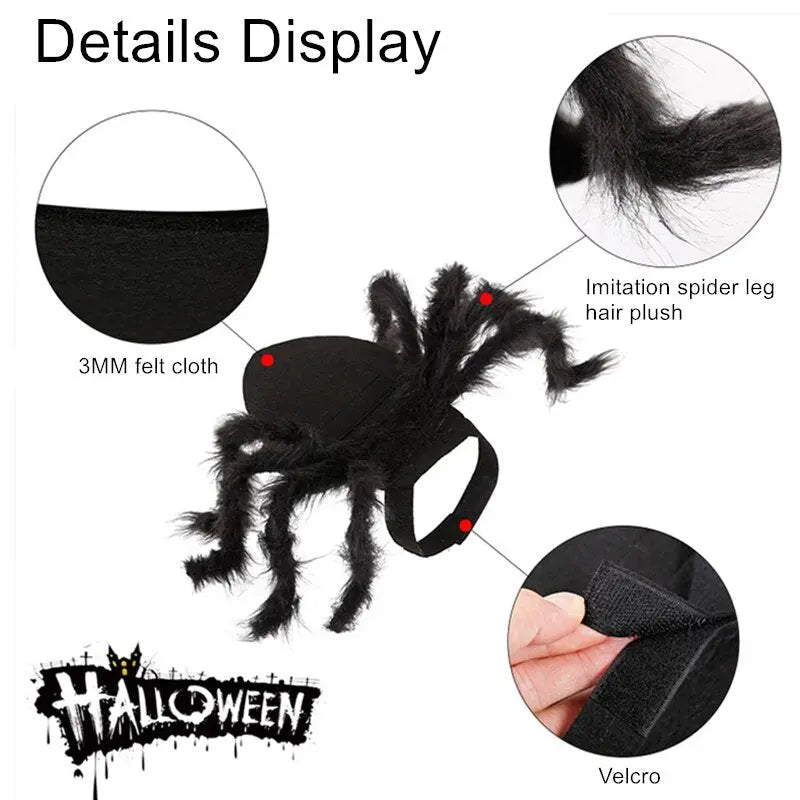 Spider Costume for Pets My Store