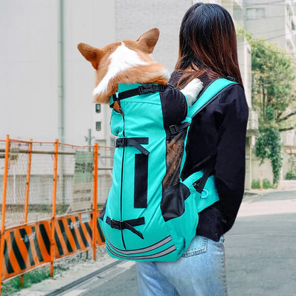 Dog Carrier 