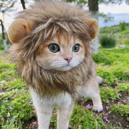 Lion Mane Cat Costume My Store