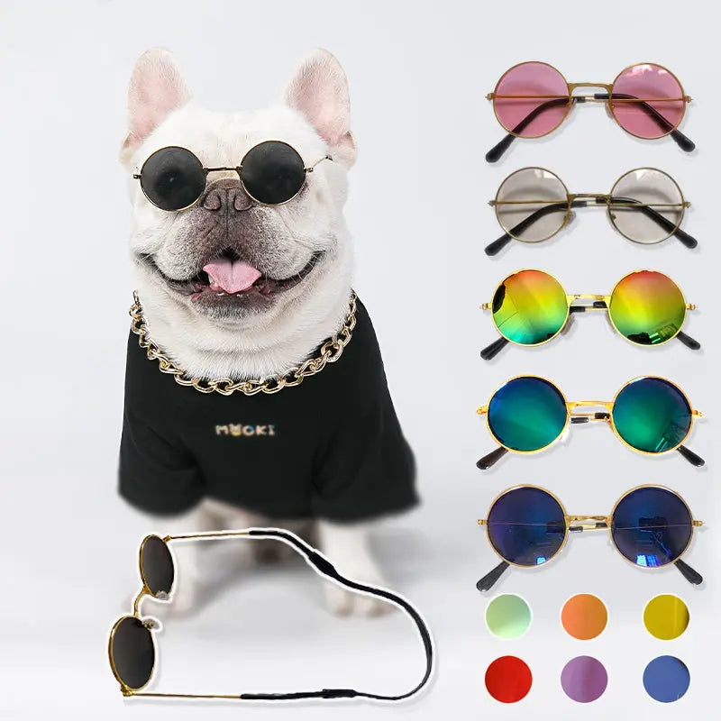 Pet Sunglasses My Store