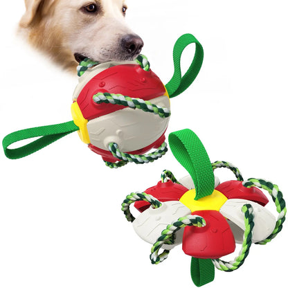 Interactive Dog Toy My Store